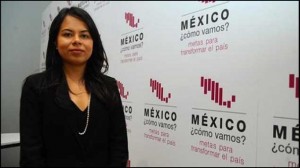 México ¿Cómo vamos? es un colectivo de investigadores integrado por un grupo plural de académicos y expertos en economía y política pública 