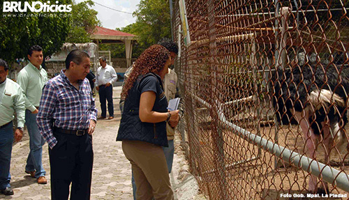 Pide PROFEPA a municipio mejorar Zoo La Piedad