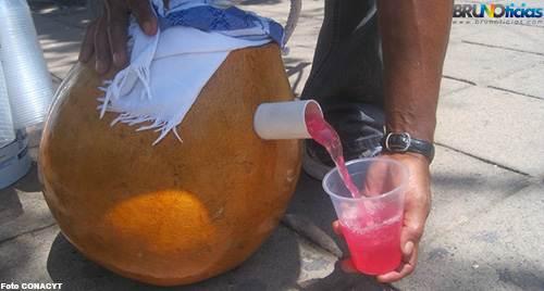 Tuba de coco, bebida tradicional y sana