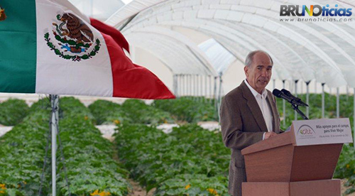 Pendiente un marco financiero moderno para el agro: Francisco Mayorga
