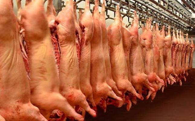 Porcicultores respaldan aplicación de arancel a carne de cerdo de EUA