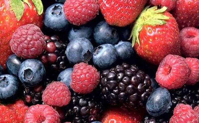 Antioxidantes de frutos rojos podrían ser útiles en trastornos de ansiedad
