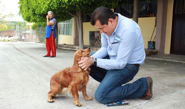 Urgente promover una tenencia responsable de animales de compañía: Alex Espinoza