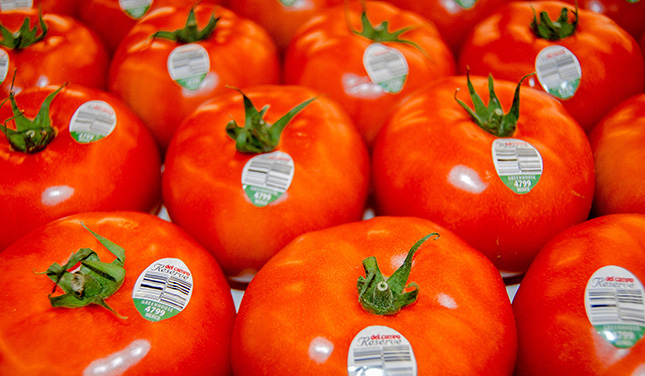 Productores mexicanos de tomate darán “batalla” en pugna con EUA
