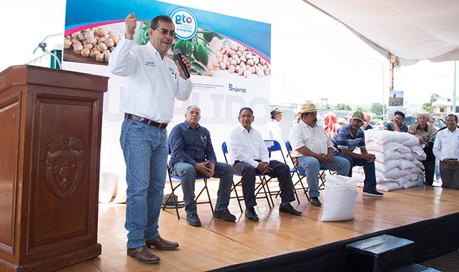 Entregan SDAyR y municipio 100 toneladas de semilla de garbanzo blanco, en Pénjamo