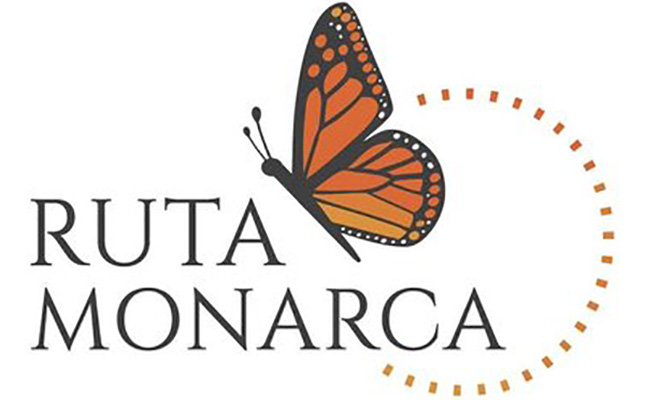 Destaca proyecto Ruta Monarca en la preservación de las mariposas