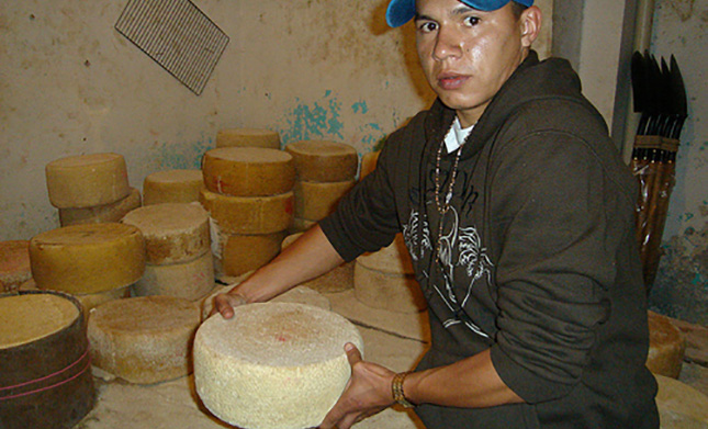 Analizarán situación de la quesería artesanal de México en el Congreso