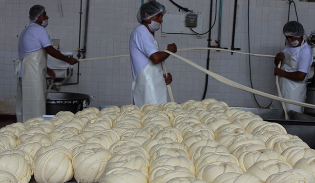 Piden productores de queso a diputados garantizar denominación de origen, créditos y subsidios