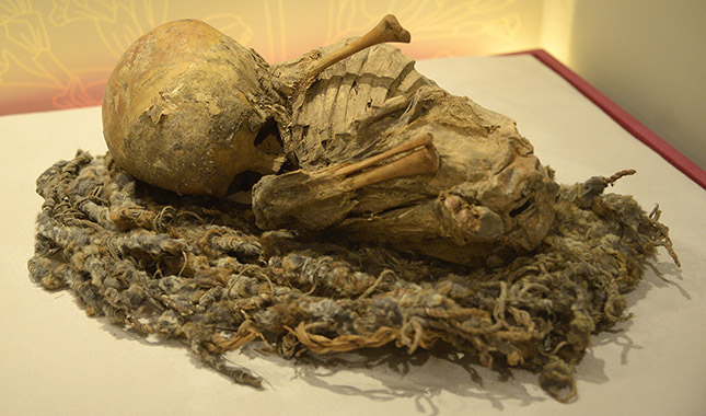 Muestra “Momias. Ilusiones de vida eterna” llega al Museo de El Carmen