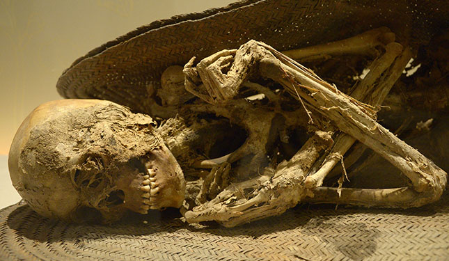 Exposición de momias atrae en el Museo de El Carmen