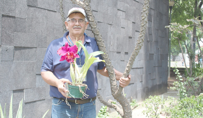 Los tapatíos que descubre y cuidan nuevas especies de orquídeas