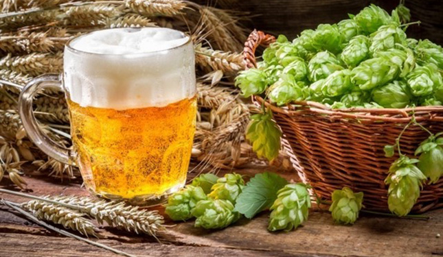 Lúpulo utilizado en cerveza podría disminuir síntomas de climaterio