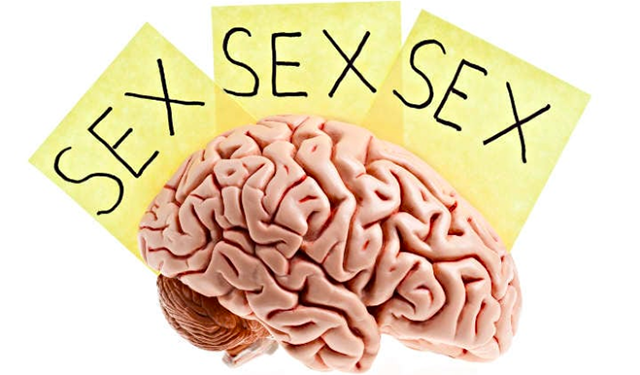 El cerebro masculino cambia a partir de la primera experiencia sexual dice investigadora