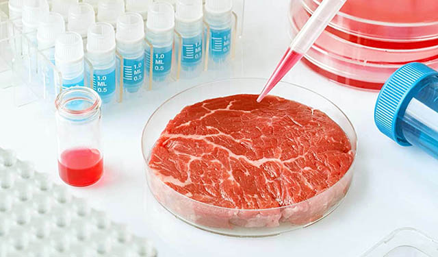 Carne cultivada “in vitro” sería opción alimentaria en el futuro