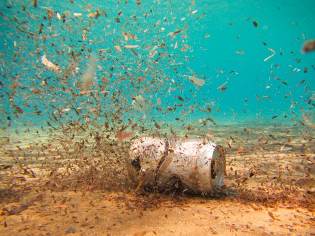 En el punto más profundo del planeta corales, nuevas especies y… basura