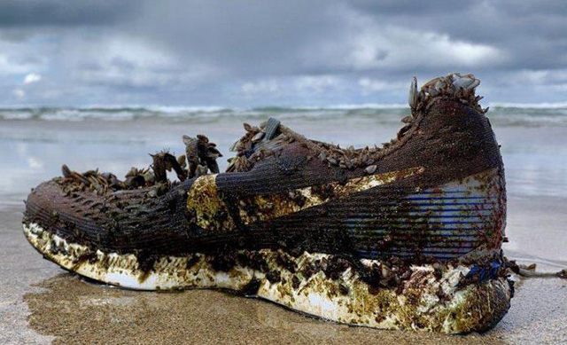 Intriga aparición de zapatos tenis en playas del Atlántico