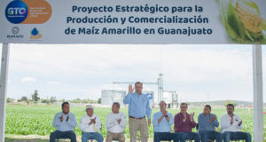 Presentación del Proyecto de maíz amarillo en Guanajuato
