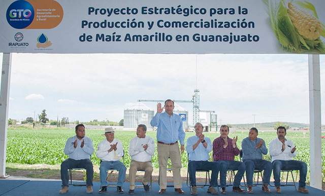 Presentación del Proyecto de maíz amarillo en Guanajuato