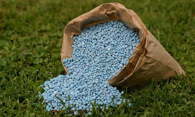 Costoso e ineficiente apostar por fertilizantes químicos: COMABIO