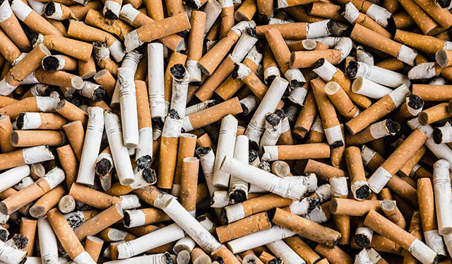 Colillas de cigarro, más contaminantes que los popotes investigador
