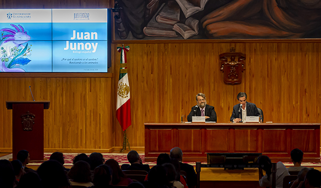 El axolote podrá salvarse por ser patrimonio de México: Juan Junoy