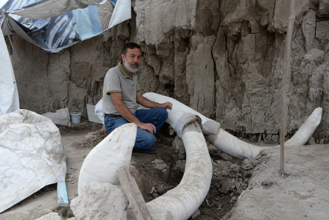 Descubren en Tultepec restos de 14 mamuts