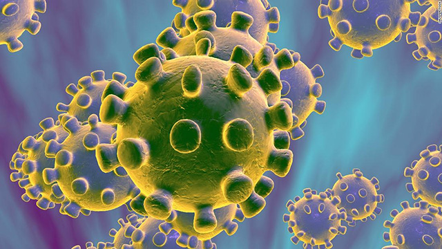 ¿Cómo se debe actuar ante el coronavirus?