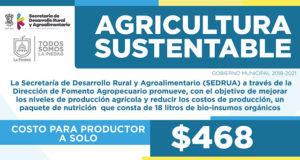 agricultura sustentable