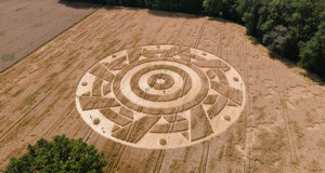 círculo en campo de cultivo