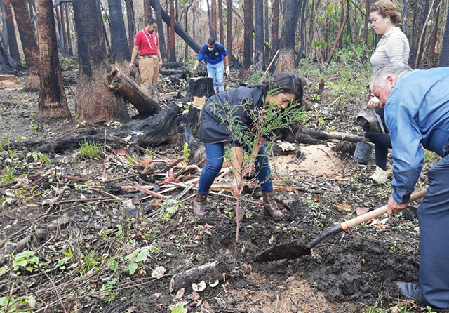Degollado colabora con reforestación en Ayotlán
