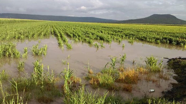 8 municipios del Bajío michoacano en riesgo de inundaciones