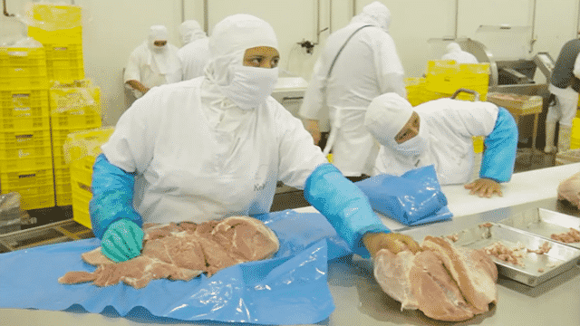 México producirá de 1.7 millones de toneladas de carne de cerdo