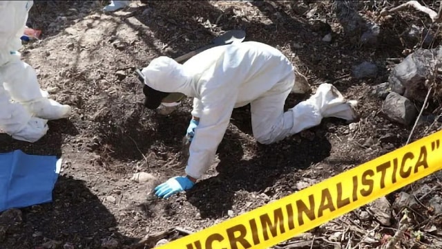 Encuentran fosas clandestinas con 15 cuerpos en Irapuato