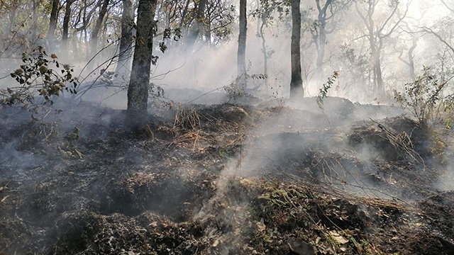 incendio forestal Cerro Grande Ecuandureo