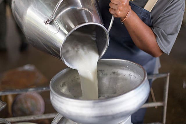 leche productores