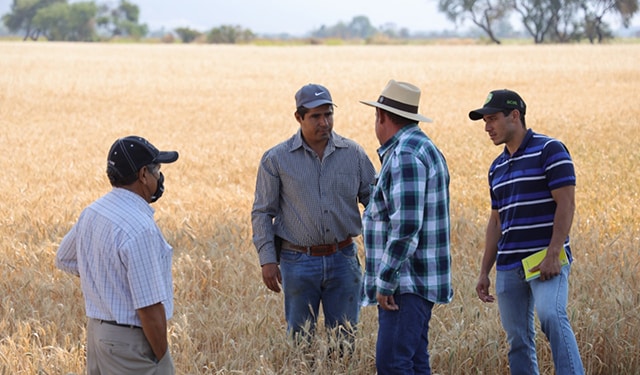 Agricultores de cuenca del Santiago reconocen apoyos de SADER Jalisco