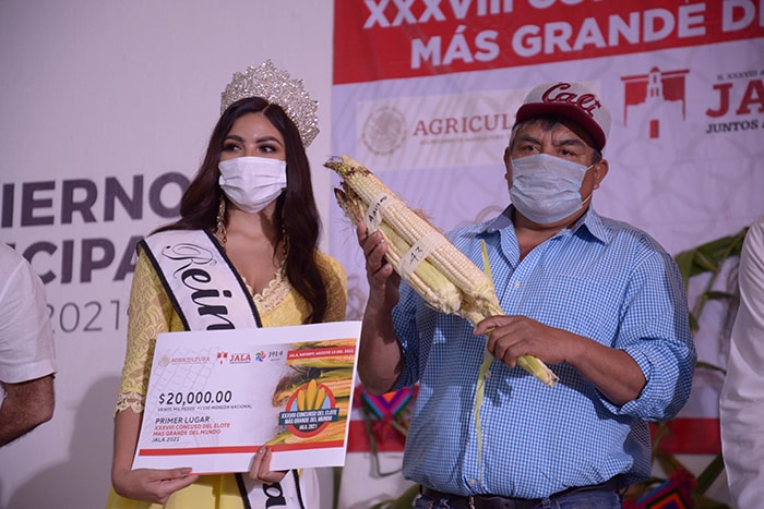 Mazorca de 43 cms. gana el concurso del Elote más Grande del Mundo en  Nayarit - Brunoticias