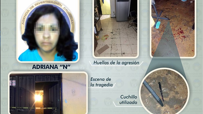 cuchillo mujer sentenciada por atacar a sus hijos