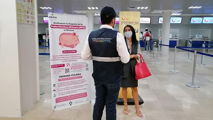 Difunden información sobre la Peste Porcina Africana en aeropuerto de Vallarta