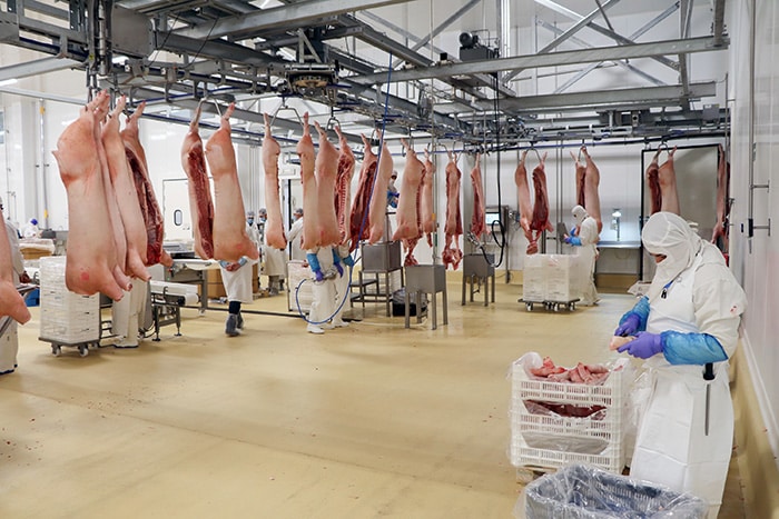 Buscan a porcicultores para exportar más carne de cerdo a Japón