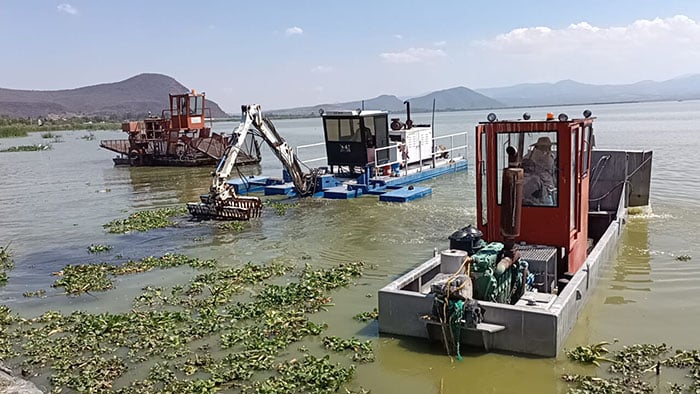 Inicia Compesca extracción de vegetación acuática en lago de Cuitzeo