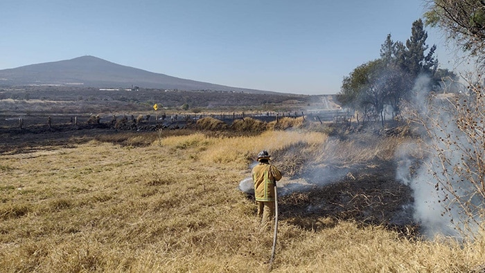 Busca SADER reducir 40% de quemas agrícolas con #MiParcelaNoSeQuema