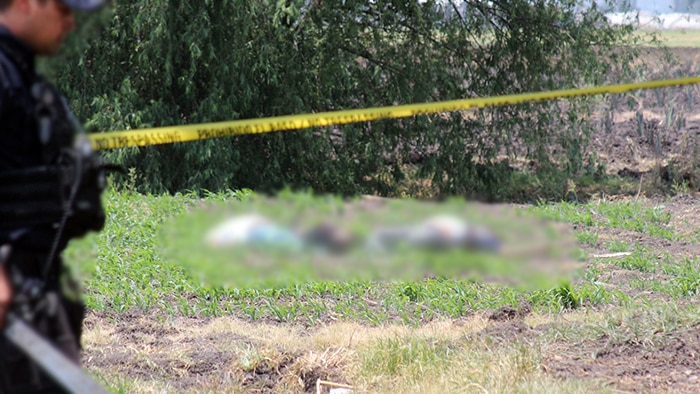 Encuentran a 3 víctimas de homicidio en La Granjena Pénjamo