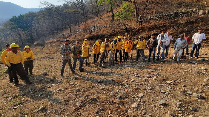 Llegan brigadas a combatir el incendio forestal a Churintzio y Zináparo
