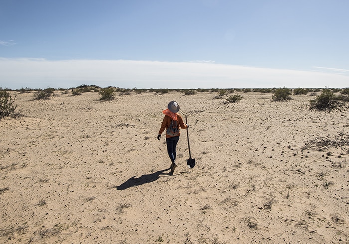 Buscar colibríes en el desierto; desaparecidos en Sonora