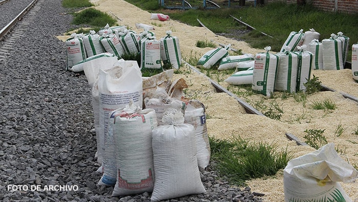 Roban 90 toneladas de maíz en Estación Patti, La Piedad; FGR investiga