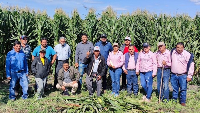 Agricultores de Sudamérica visitan campos de La Piedad