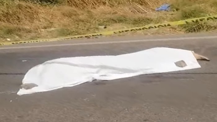 Hombre muere atropellado en carretera La Piedad  – Degollado