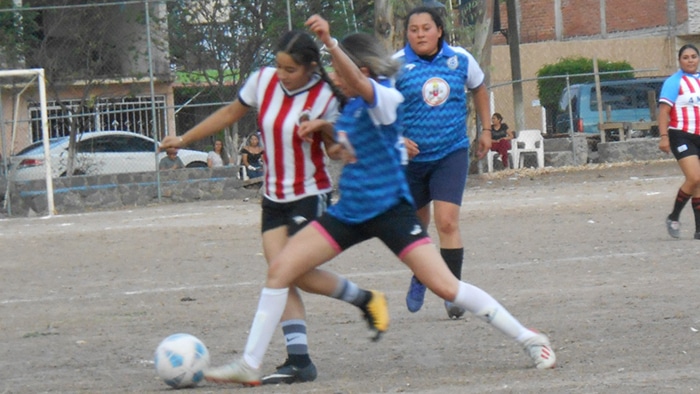 Liga Femenil Futbol 
