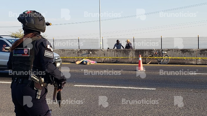Atropellan y muere ciclista en carretera Pénjamo – La Piedad